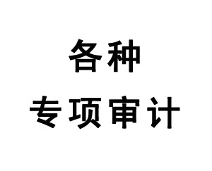 各种专项审计
