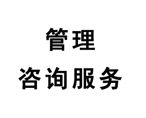 管理咨询服务