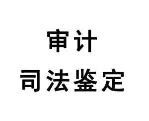 审计司法鉴定