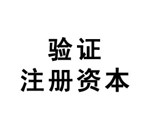 验证注册资本